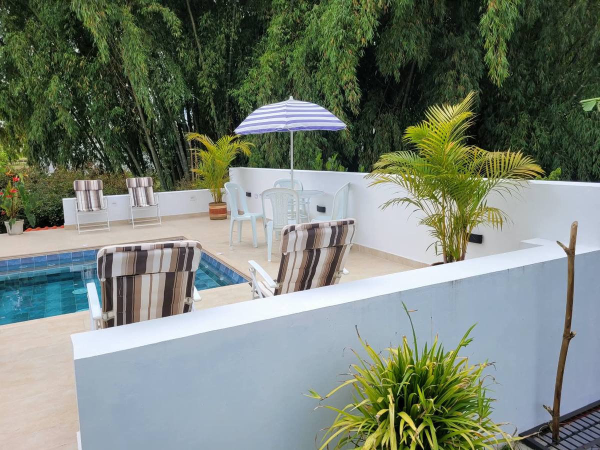 Jacuzzi con sombrilla y palmas